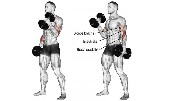 Bi And Tri Workout To Grow Your Arms EatSleepGym