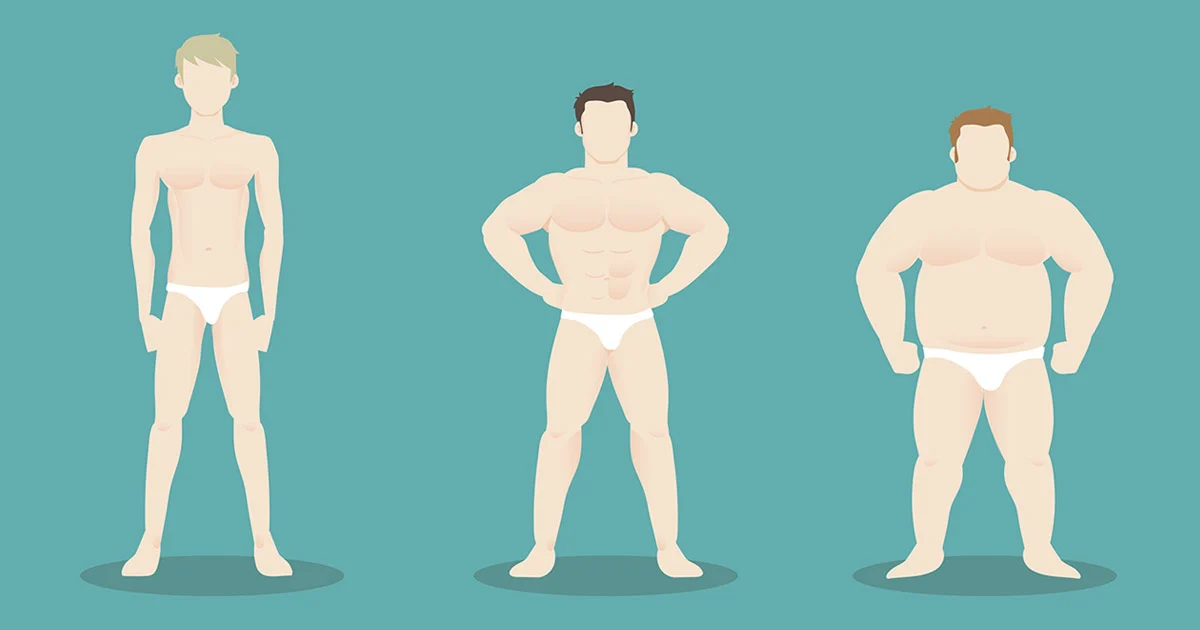 Body Types What Is An Ectomorph?