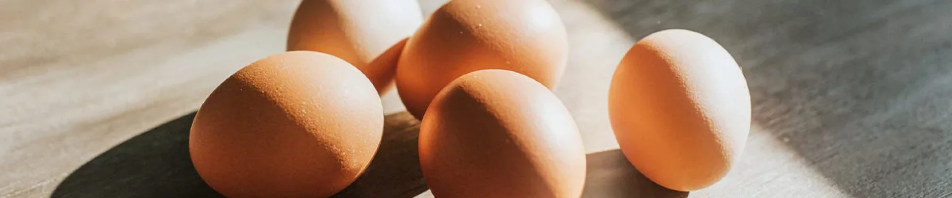 Protein in an egg